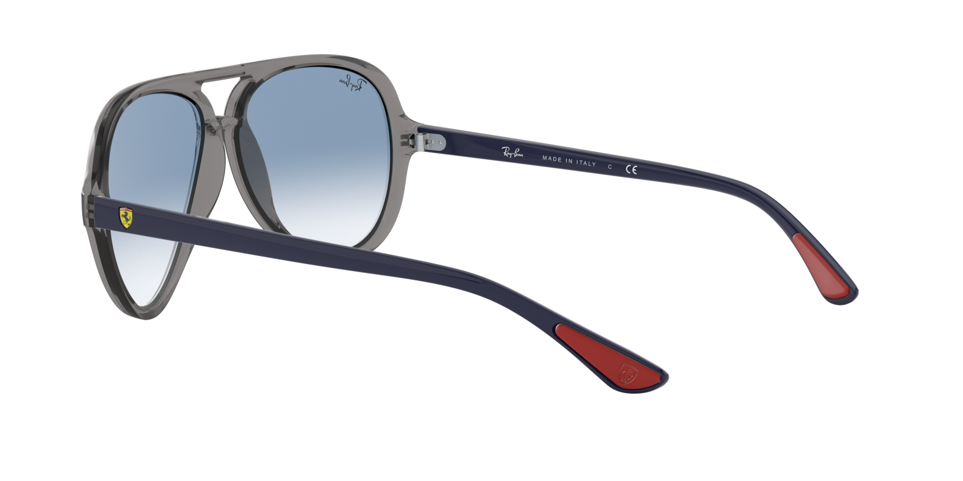 INJECTED UNISEX SUNGLASS