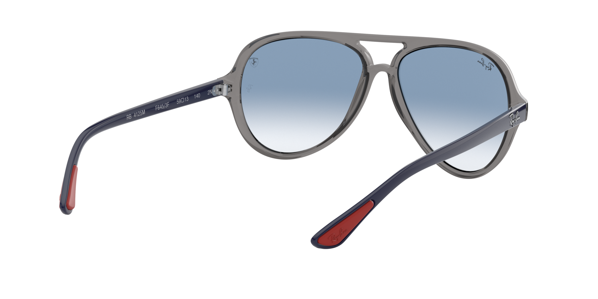 INJECTED UNISEX SUNGLASS