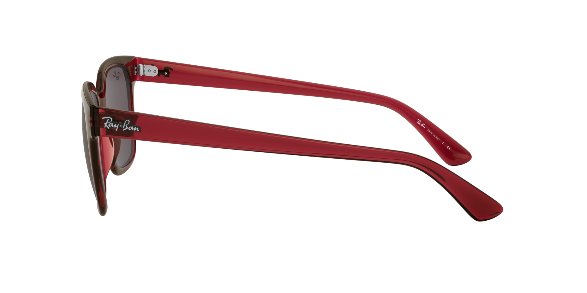 INJECTED UNISEX SUNGLASS