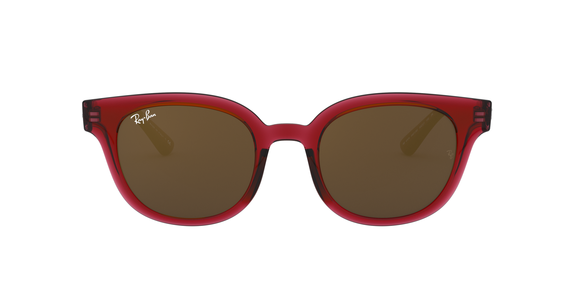 INJECTED UNISEX SUNGLASS