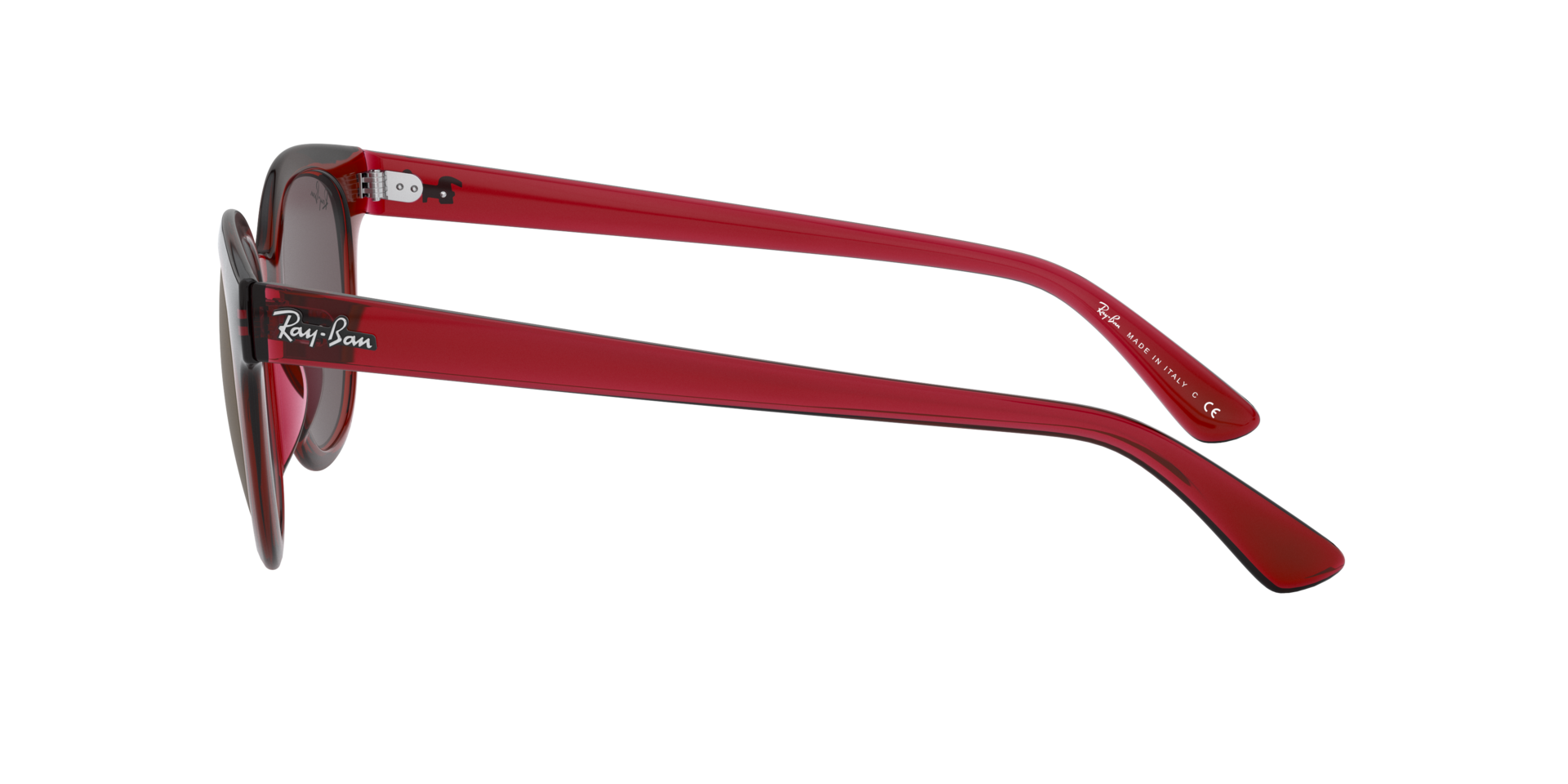 INJECTED UNISEX SUNGLASS
