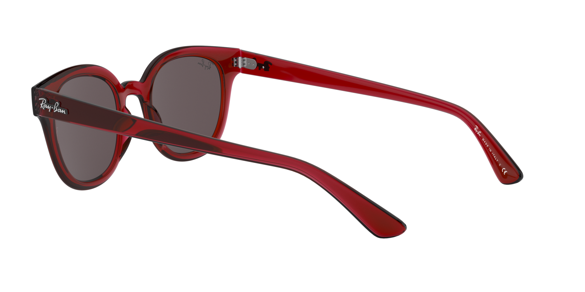 INJECTED UNISEX SUNGLASS