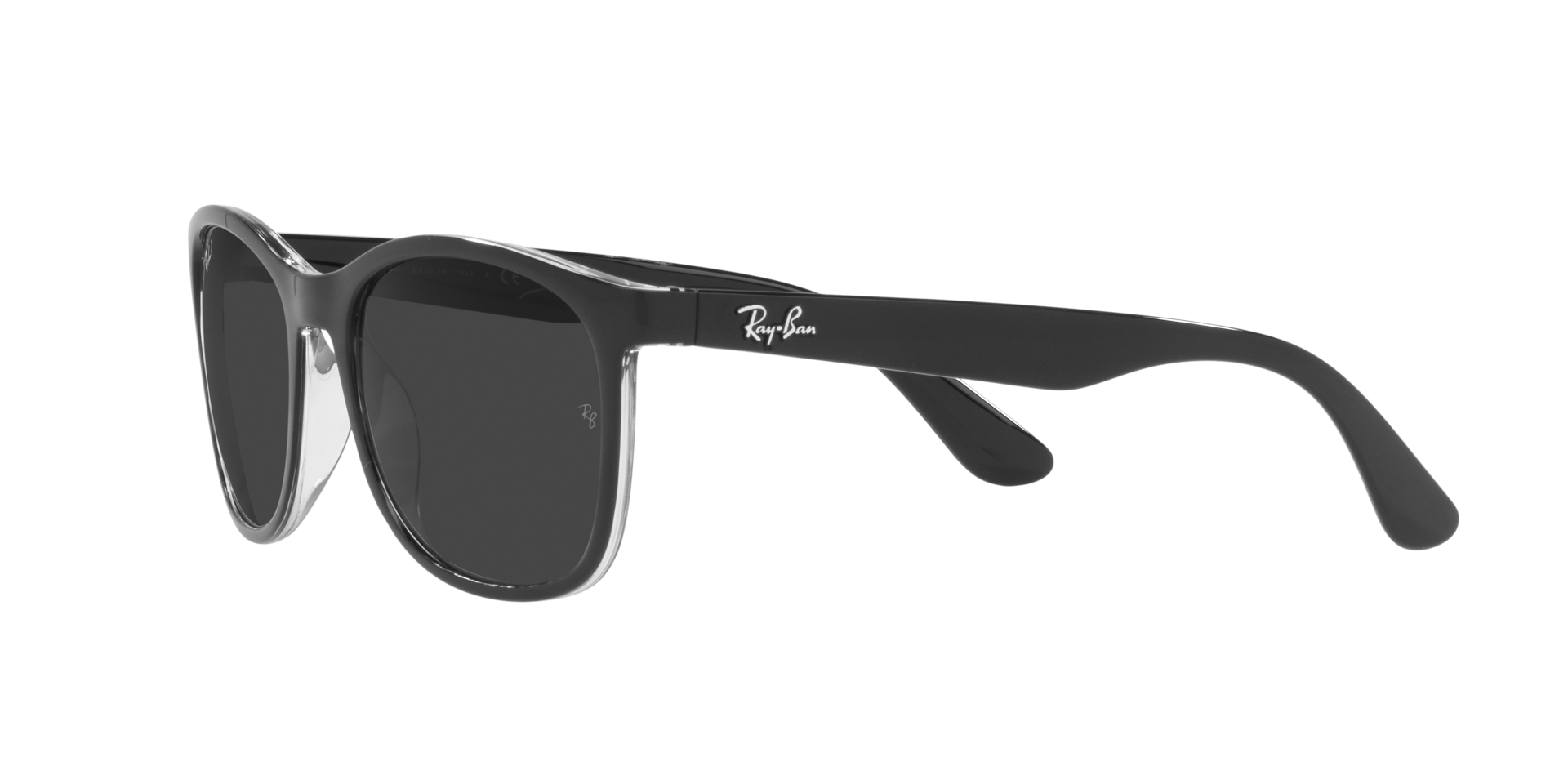 INJECTED UNISEX SUNGLASS