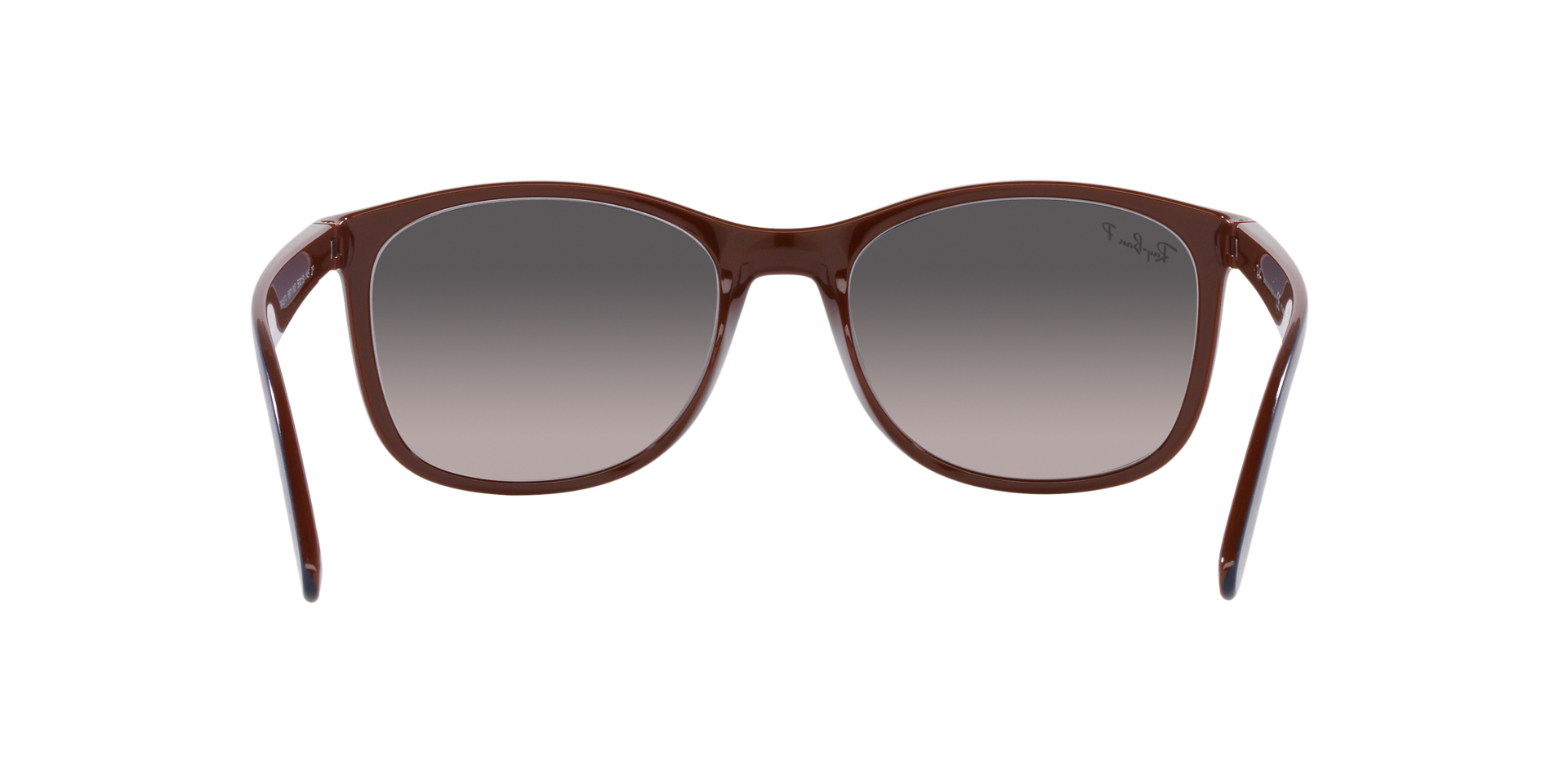 INJECTED UNISEX SUNGLASS