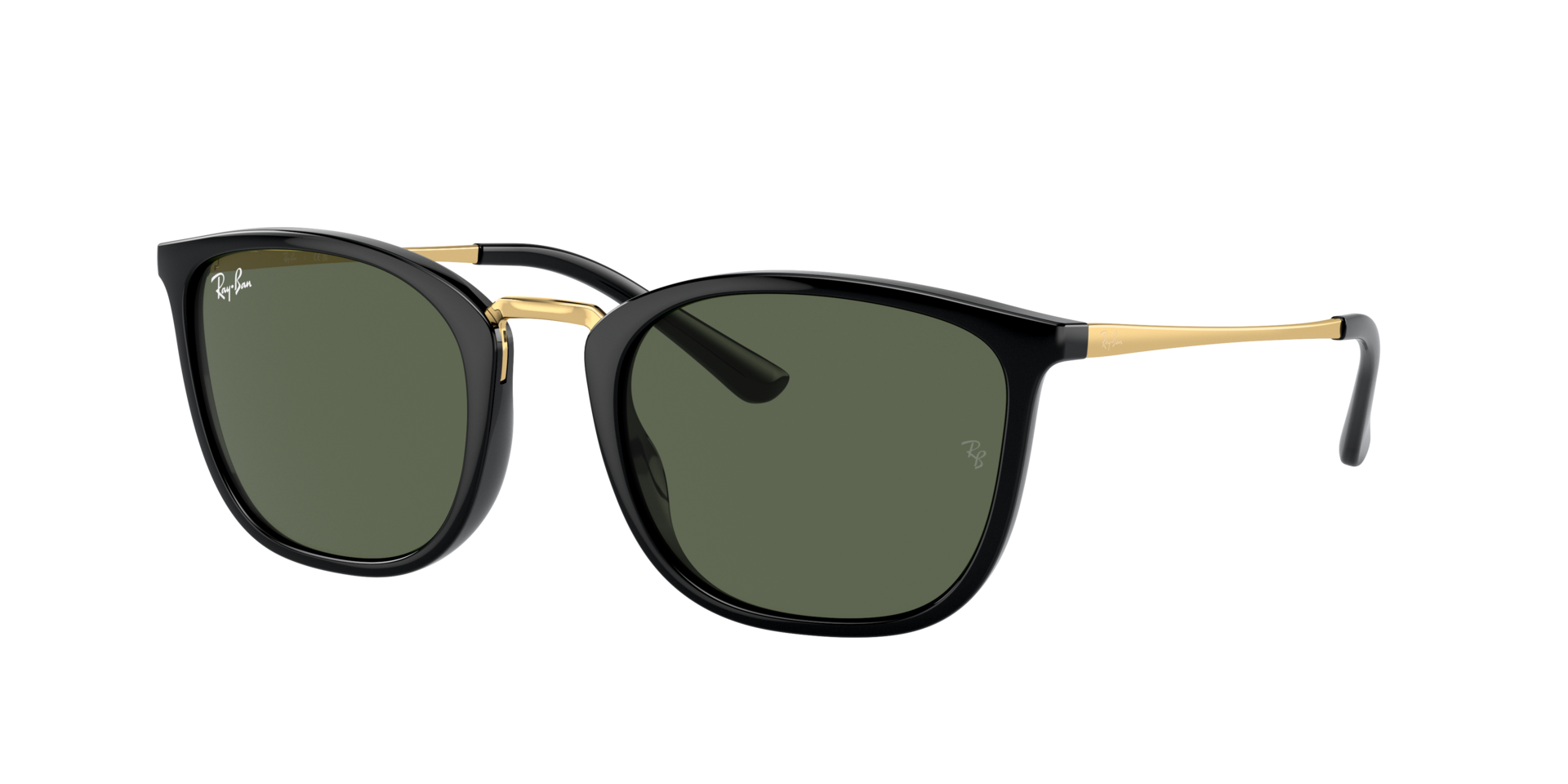 INJECTED UNISEX SUNGLASS