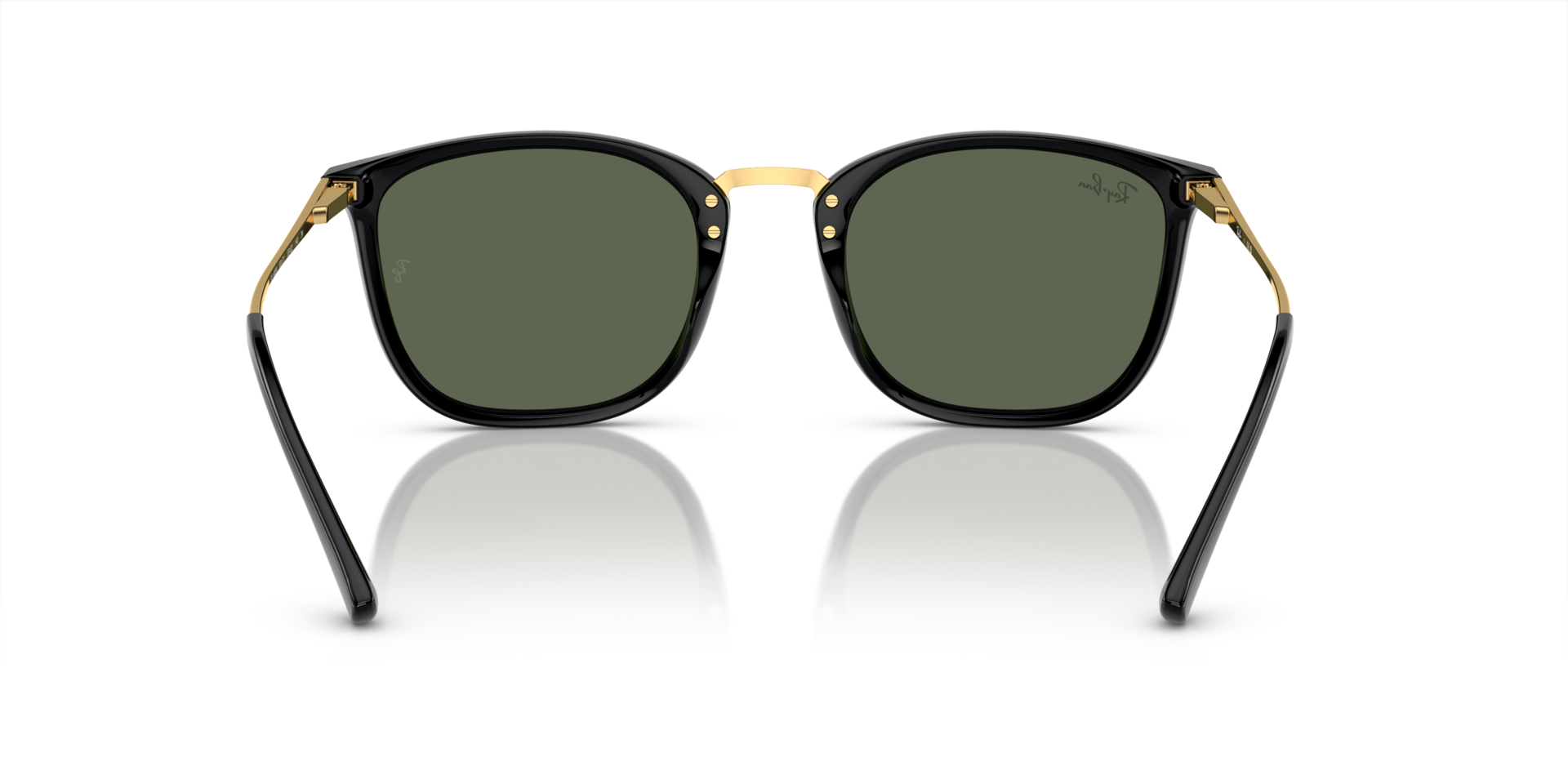 INJECTED UNISEX SUNGLASS