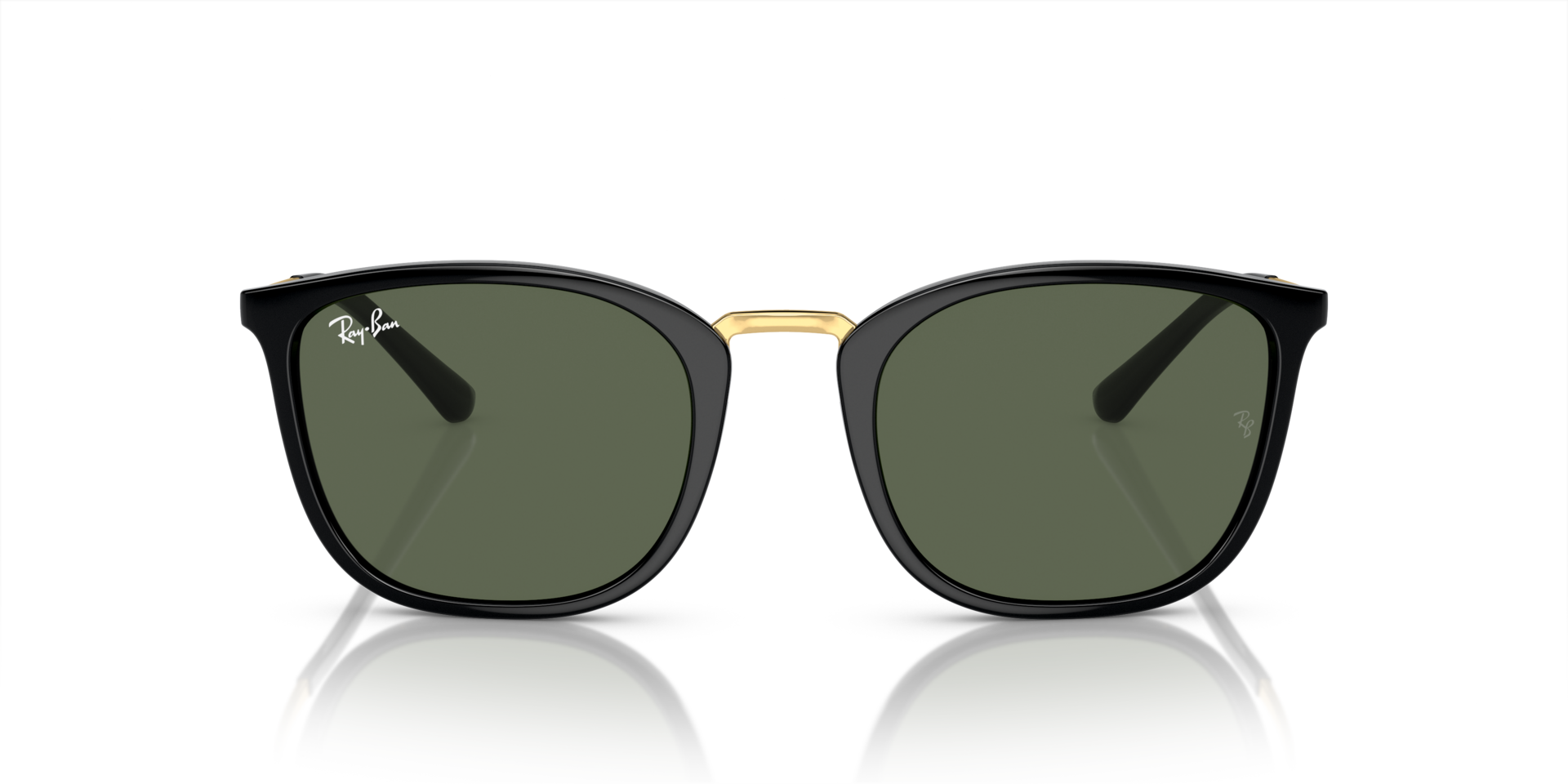 INJECTED UNISEX SUNGLASS