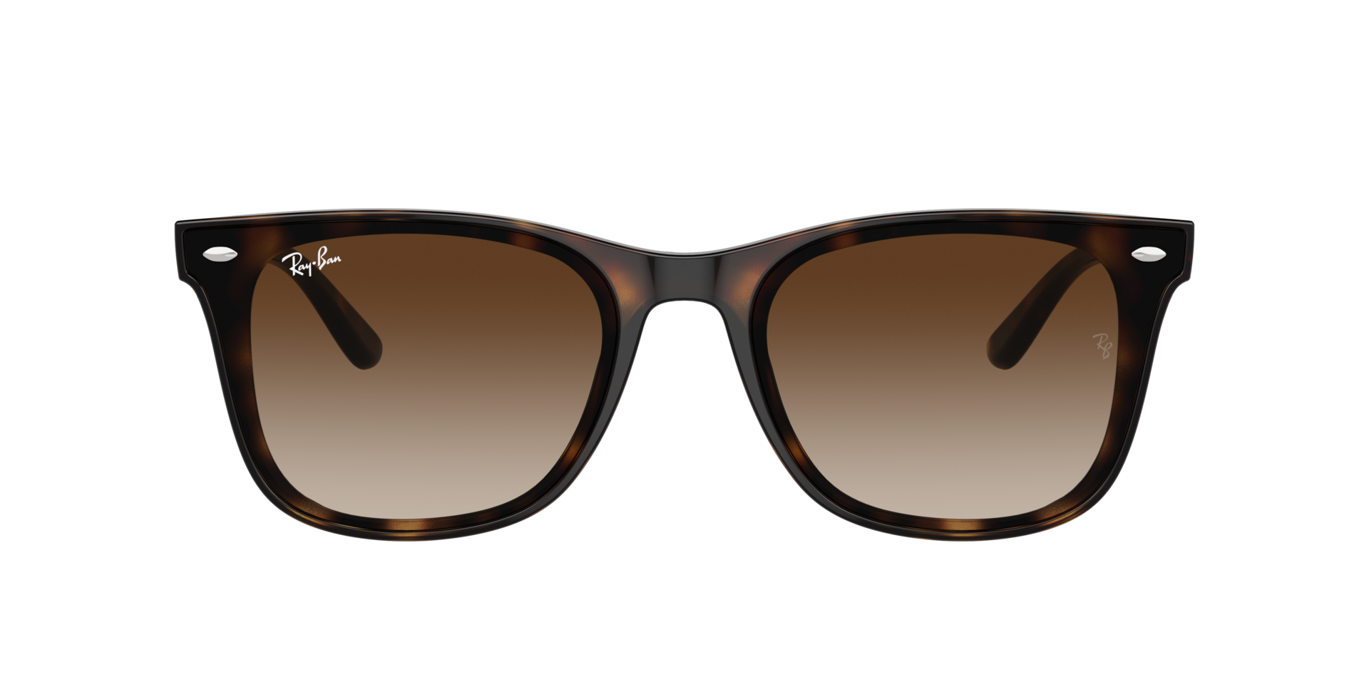 INJECTED UNISEX SUNGLASS