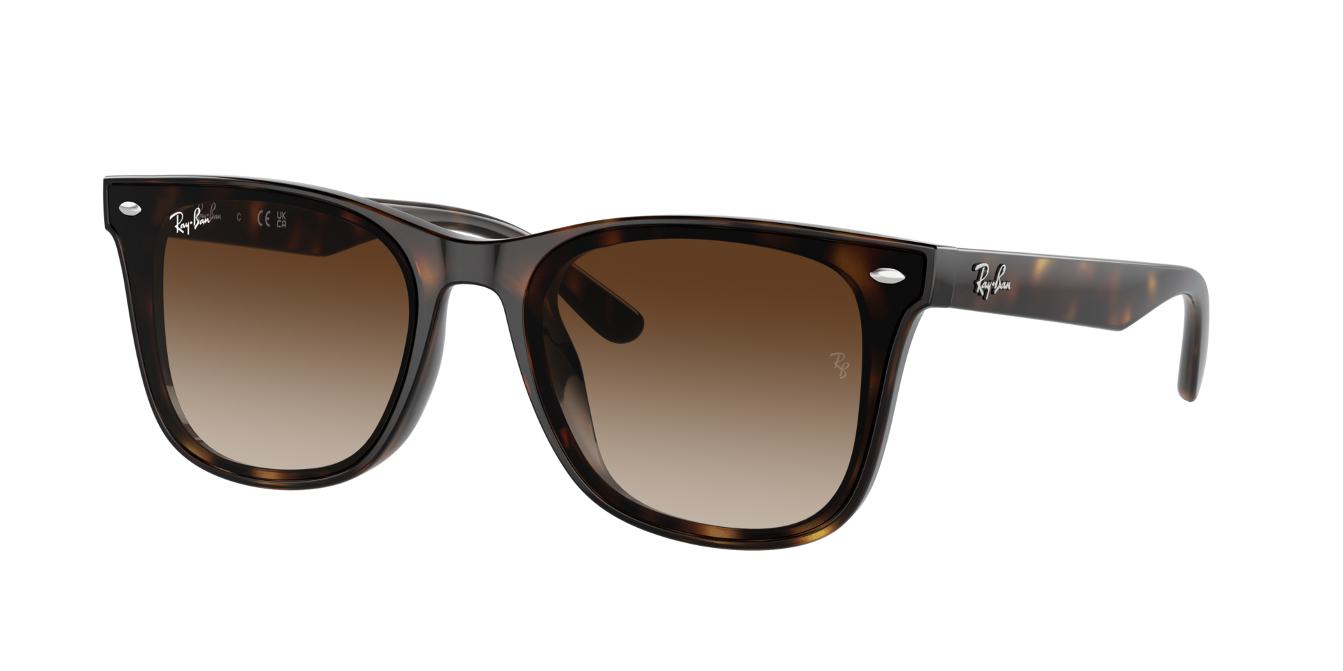 INJECTED UNISEX SUNGLASS