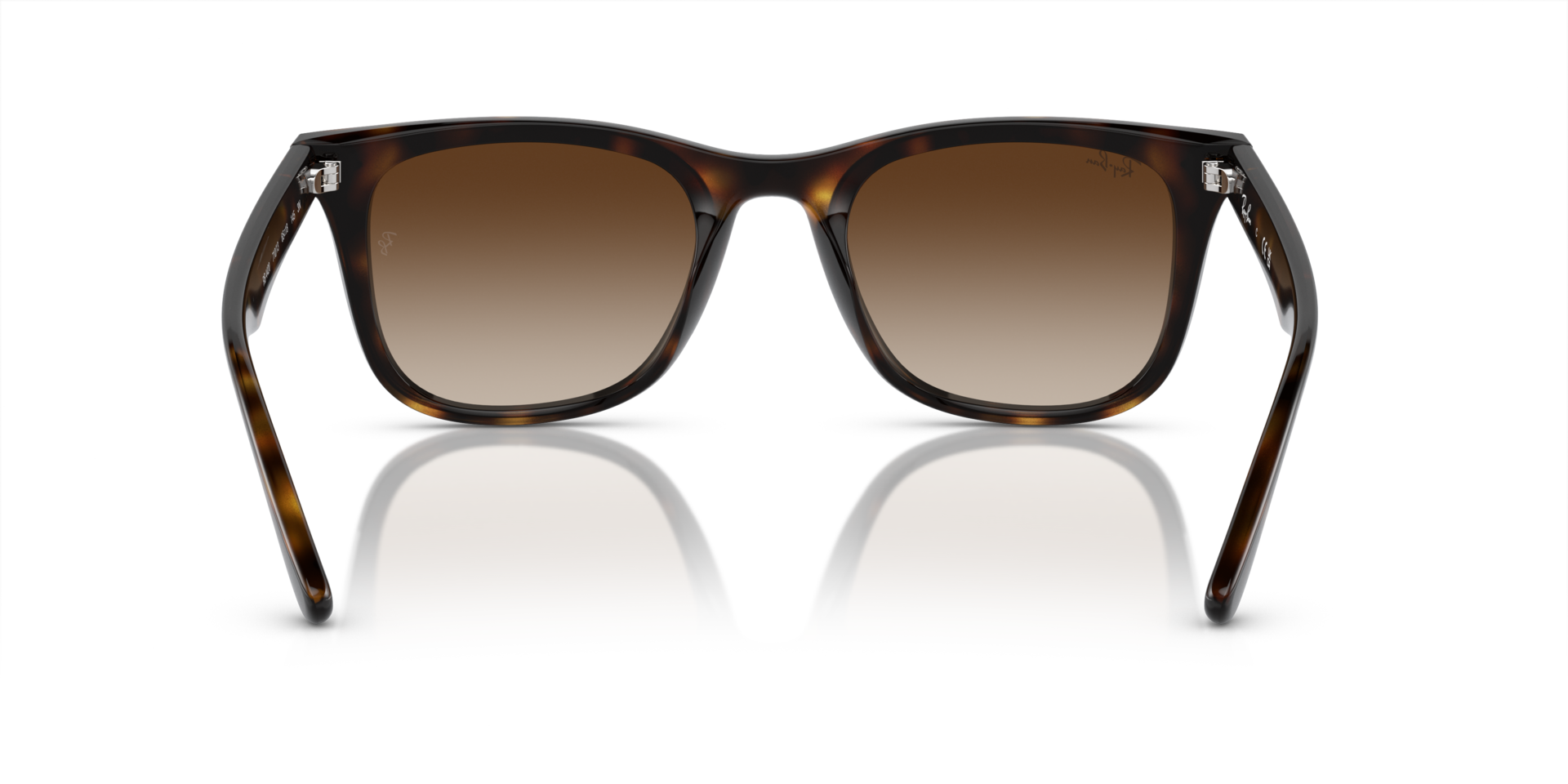 INJECTED UNISEX SUNGLASS