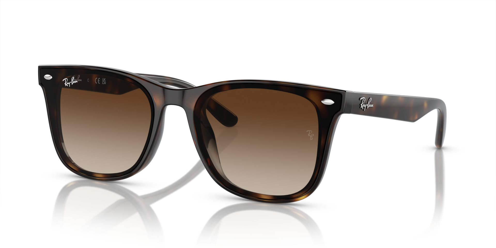 INJECTED UNISEX SUNGLASS