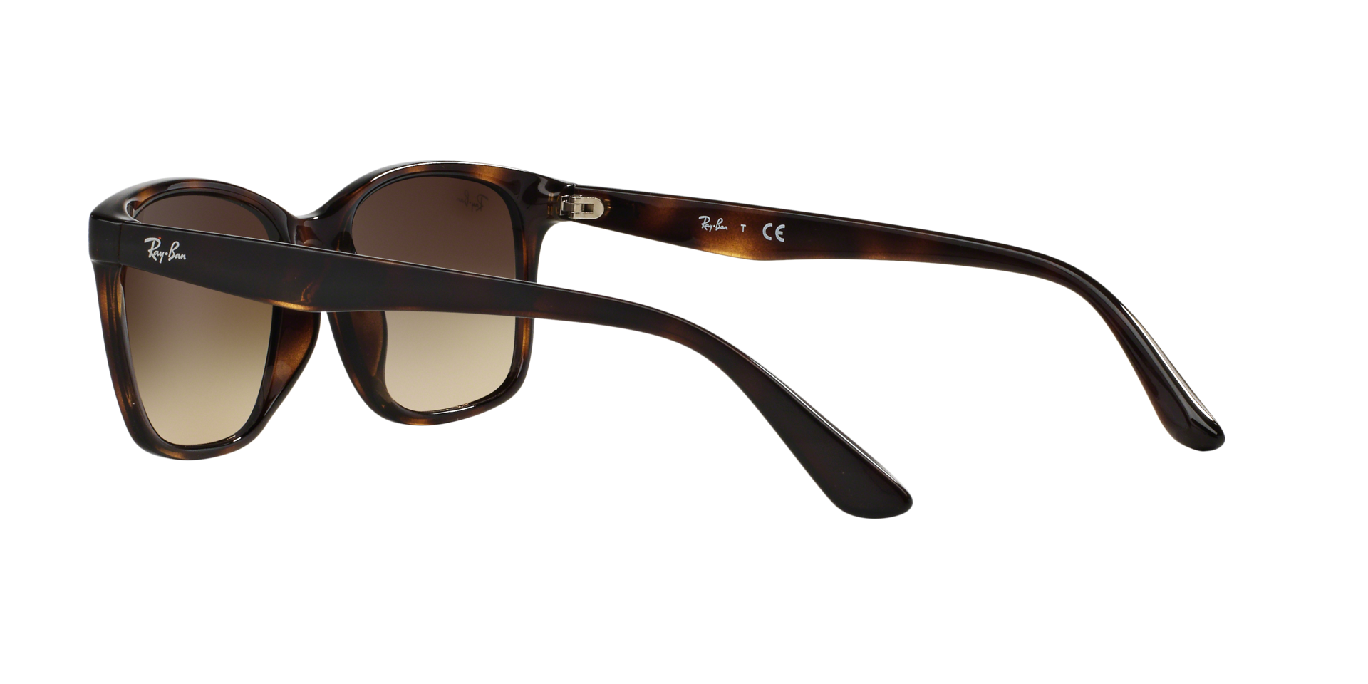 INJECTED MAN SUNGLASS