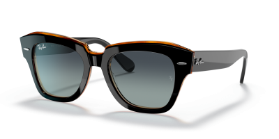 0RB2186_132241-STD_shad_qt