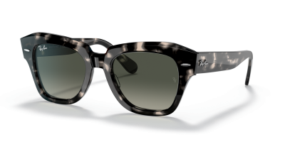 0RB2186_133371-STD_shad_qt