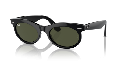 Buy Wayfarer Sunglasses Online