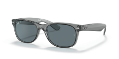 NEW WAYFARER
