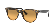 WAYFARER II
