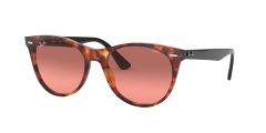 WAYFARER II