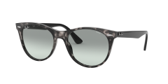 WAYFARER II