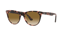 WAYFARER II FLECK