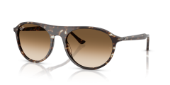 Acetate Unisex Sunglass