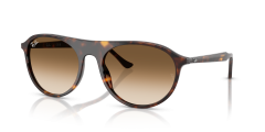 Acetate Unisex Sunglass