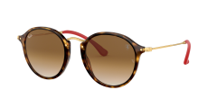 RB2447N FLAT LENSES