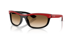 Acetate Unisex Sunglass