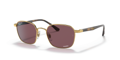 STEEL MAN SUNGLASS