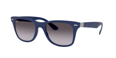 WAYFARER LITEFORCE
