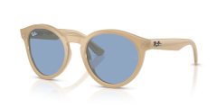 Molded Acetate Unisex Sun