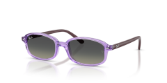 Injected Unisex Sunglass