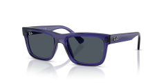 Injected Unisex Sunglass
