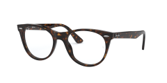 WAYFARER II