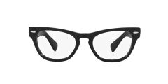 LARAMIE OPTICS
