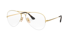 AVIATOR Gaze