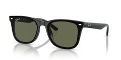 Injected Unisex Sunglass