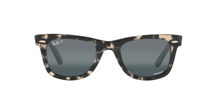 Buy Obsidian Polarized Wayfarer Sunglasses - Woggles