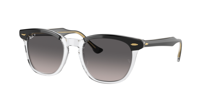 Update 144+ best clubmaster sunglasses latest