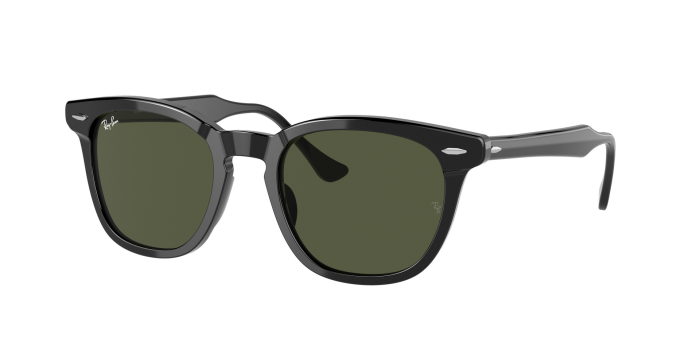 Ray-bon Polarized Sunglasses