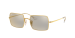 RECTANGLE 1969 MIRROR EVOLVE