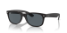 NEW WAYFARER