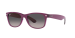 New Wayfarer