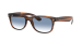 NEW WAYFARER COLOR MIX