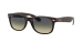 NEW WAYFARER