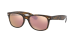 NEW WAYFARER