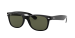 NEW WAYFARER