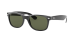 NEW WAYFARER