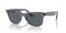 WAYFARER