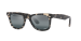 Wayfarer